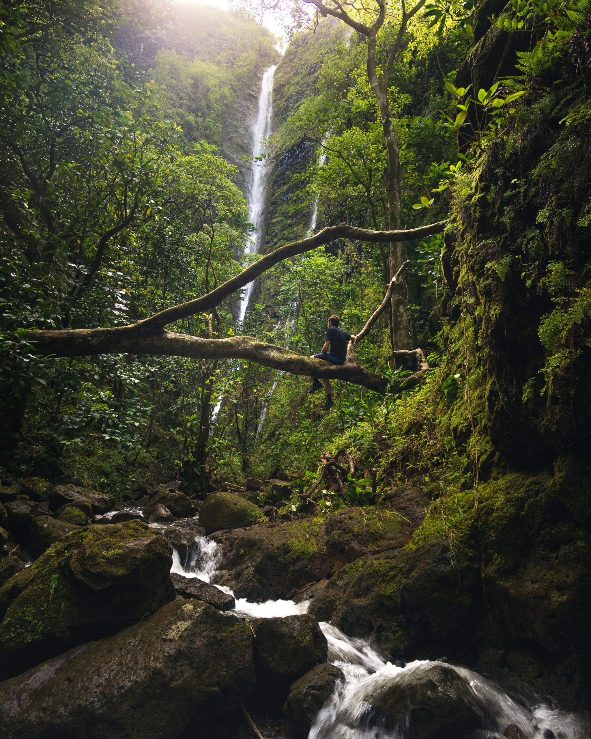 peter-vanosdall-tzTooH9OZ0M-unsplash
